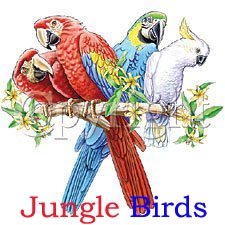 Jungle Birds