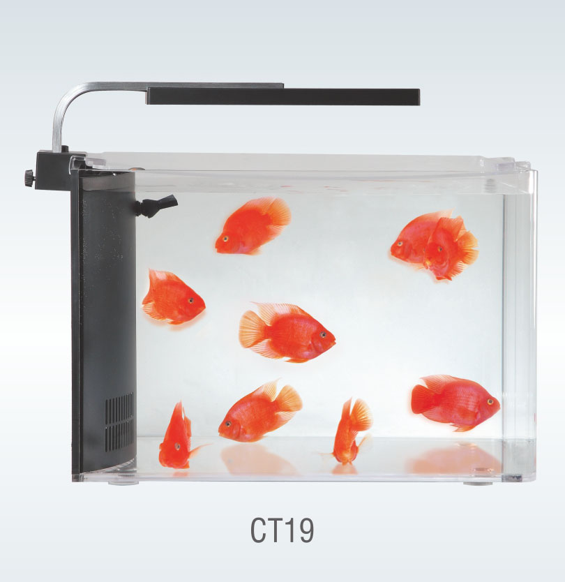 CLARITY AQUARIUM KIT